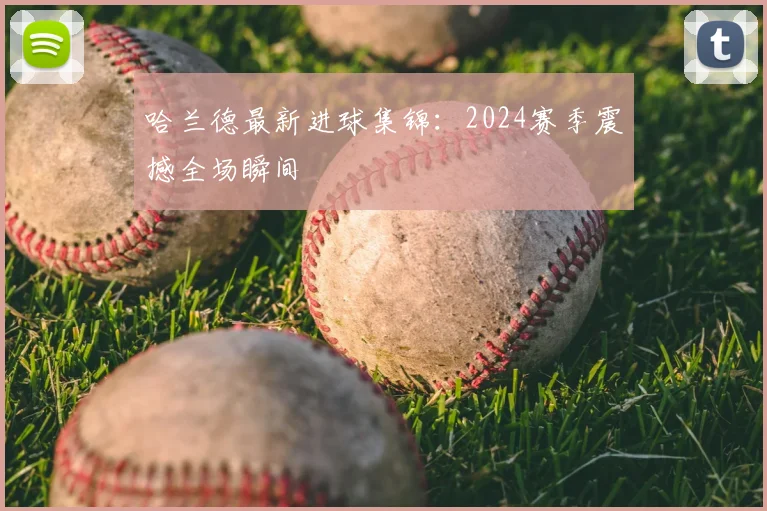 哈兰德最新进球集锦:2024赛季震撼全场瞬间